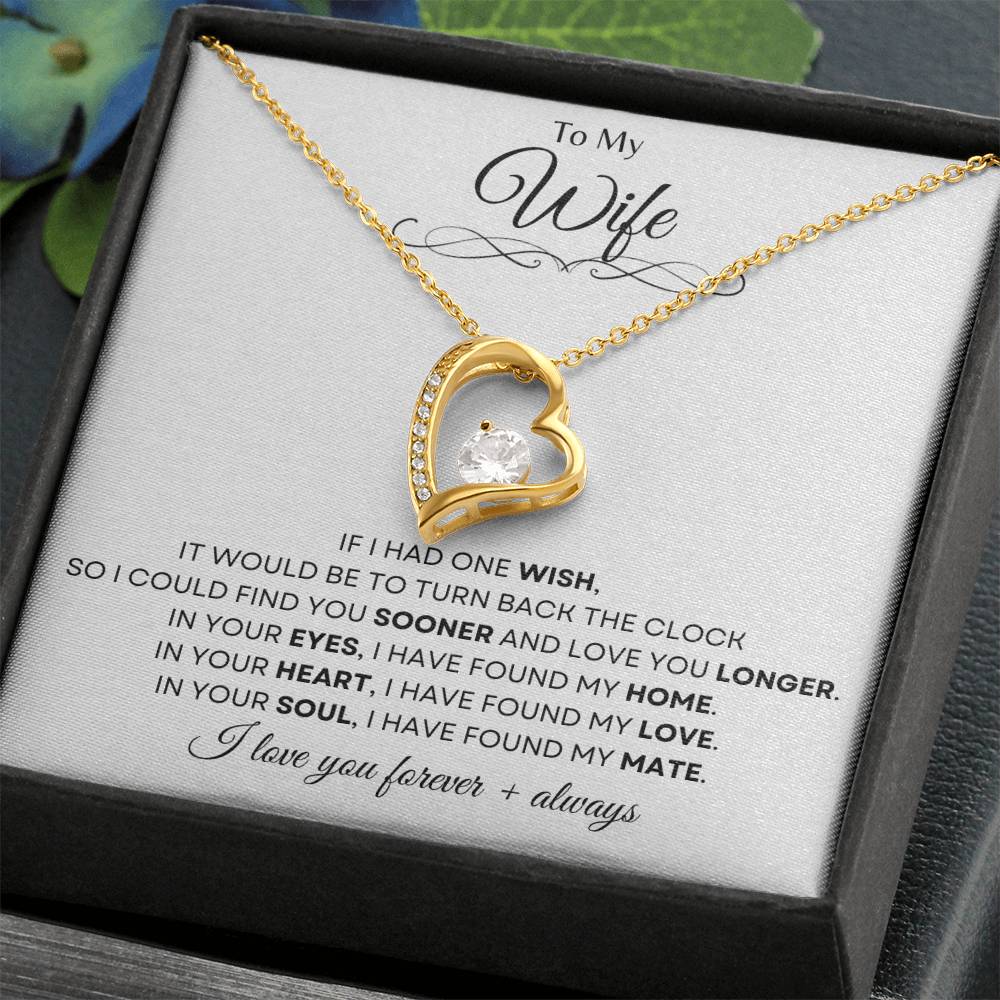To My Wife | Forever Love Necklace Gift | The Perfect Present to Say "In You I Have Found My Home, My Love, My Mate"